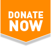 Orange triangular icon with text 'Donate Now'